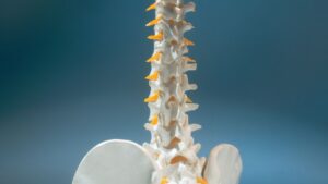 spine & neuro pain specialists