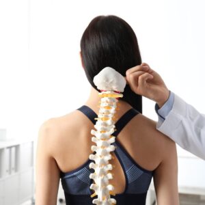 Spine Pain Treatment in Hyderabad 