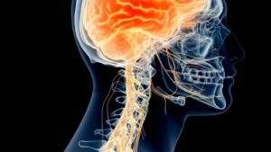 best brain and spine neuro clinic