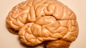 Best neurocare hospital