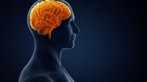 Expert neuro care hospital Hyderabad