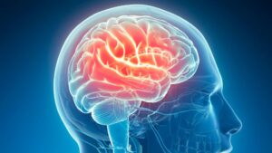 Top rated neuro hospital Attapur