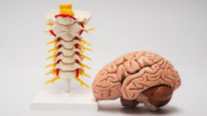brain & spine hospital