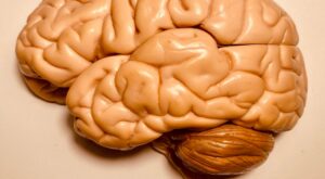 Top rated neuro hospital in Hyderabad