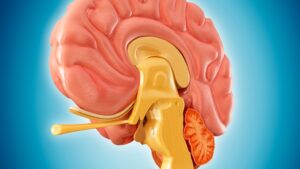 Leading Neuro Hospital in Hyderabad
