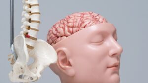 Trusted Brain and Spine Hospital