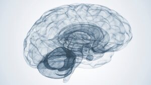 best neuro specialist hospital