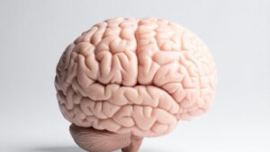 best neurology treatment