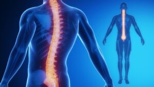 spine and neuro pain specialists​