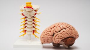 brain and spine surgical treatment